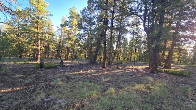 TBD Chubb Court, Buena Vista, CO 81211