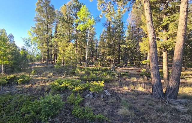 TBD Chubb Court, Buena Vista, CO 81211