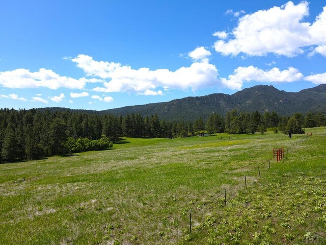 3990 Northcreek Rd, Beulah, CO 81023 - photo 66