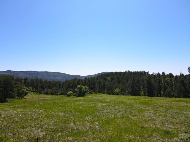 3990 Northcreek Rd, Beulah, CO 81023 - photo 67