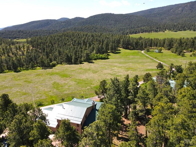 3990 Northcreek Rd, Beulah, CO 81023 - photo 61