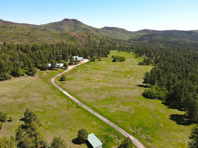 3990 Northcreek Rd, Beulah, CO 81023 - photo 62