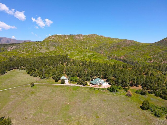 3990 Northcreek Rd, Beulah, CO 81023 - photo 58