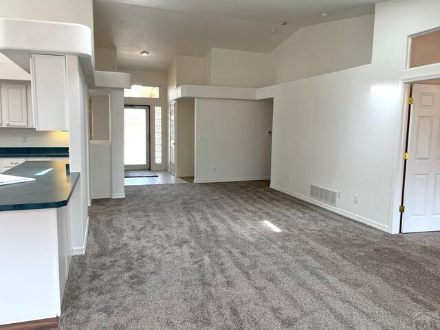 165 Kingsley Ave Unit M, Pueblo, CO 81005 - unfurnished living room featuring carpet floors, lofted ceiling, and baseboards