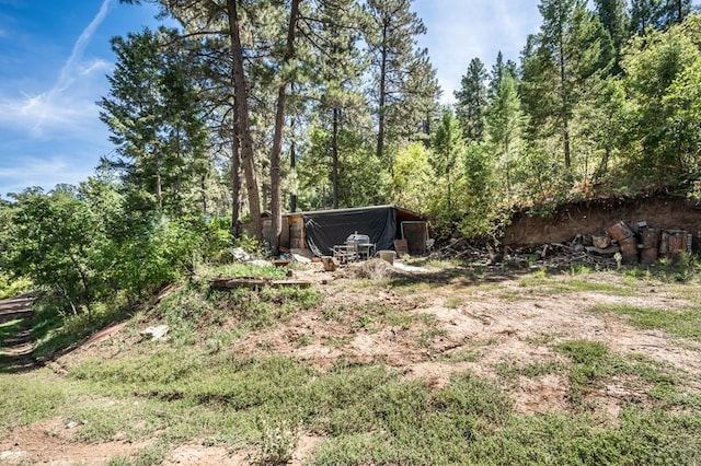 9016 Pine Ave, Beulah, CO 81023 - view of yard