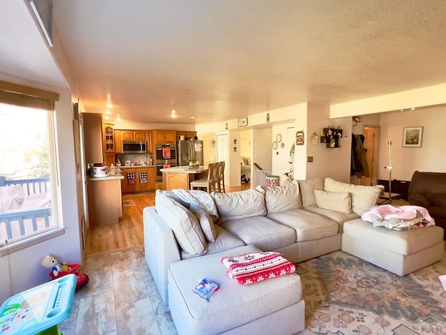 living room featuring light wood-type flooring