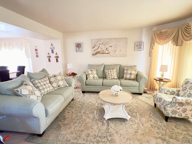 view of carpeted living area