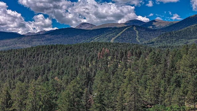 property view of mountains featuring a forest view