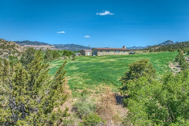 view of yard featuring a mountain view