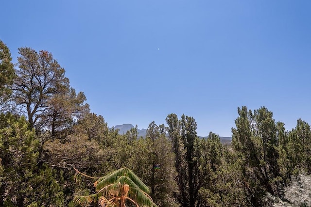 34902 County Rd 20.2, Trinidad, CO 81082 - photo 38