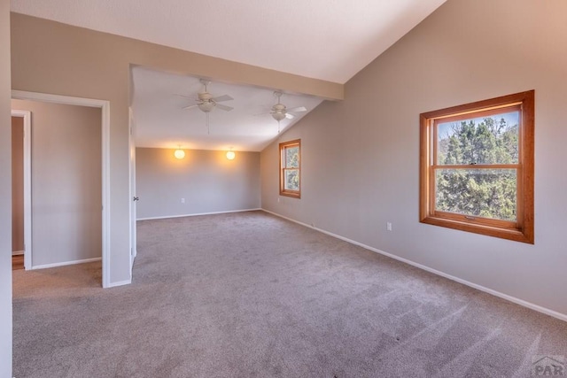 34902 County Rd 20.2, Trinidad, CO 81082 - photo 26