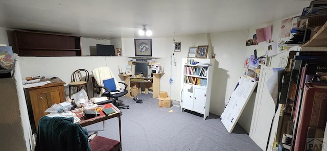 interior space featuring carpet flooring