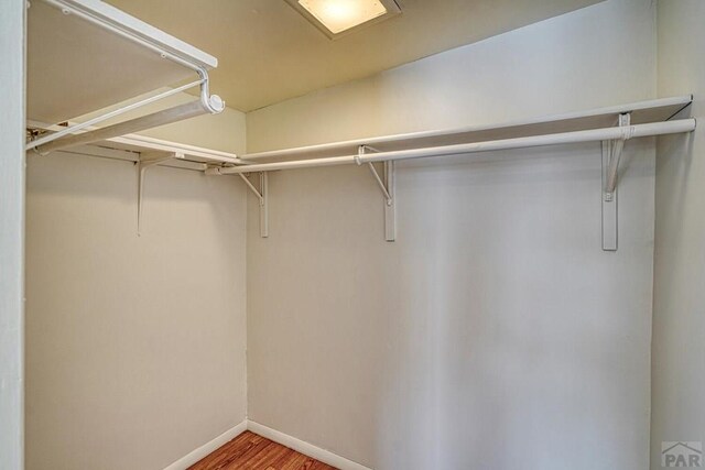 spacious closet featuring wood finished floors