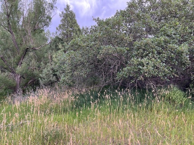 TBD Barry Court, Colorado City, CO 81019 - photo 4