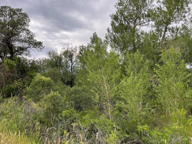 TBD Barry Court, Colorado City, CO 81019 - photo 6