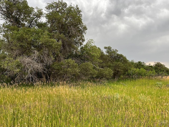 TBD Barry Ct, Colorado City CO, 81019 land for sale