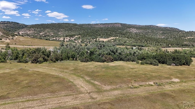 TBD Barry Court, Colorado City, CO 81019 - photo 1