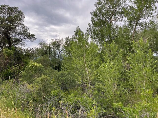 TBD Barry Court, Colorado City, CO 81019 - photo 5
