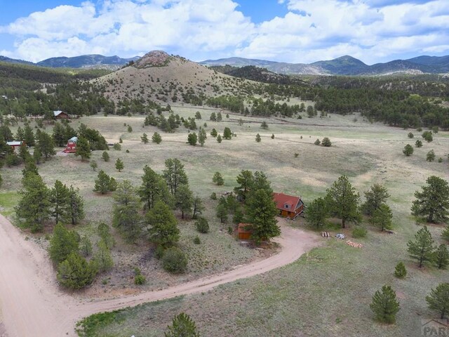 2793 Black Fawn Ln, Westcliffe, CO 81252 - view of mountain background with rural landscape