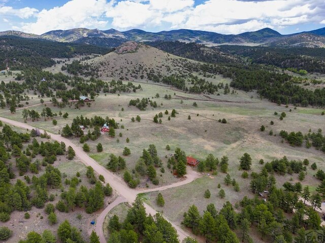 2793 Black Fawn Ln, Westcliffe, CO 81252 - view of rural area featuring a mountain backdrop