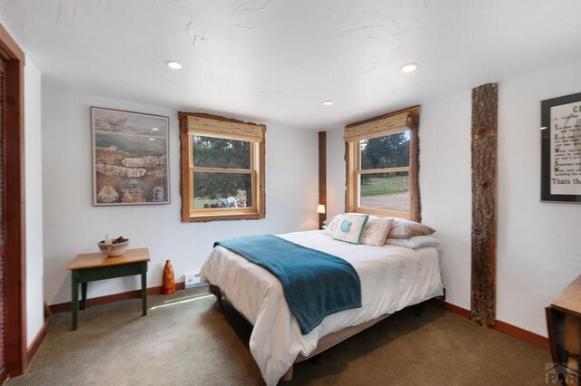 2793 Black Fawn Ln, Westcliffe, CO 81252 - bedroom featuring carpet flooring and recessed lighting