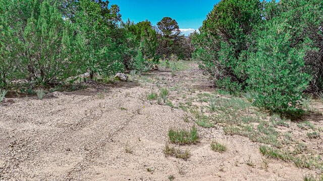 Listing photo 2 for 11771 Diamond View Rd, Trinidad CO 81082