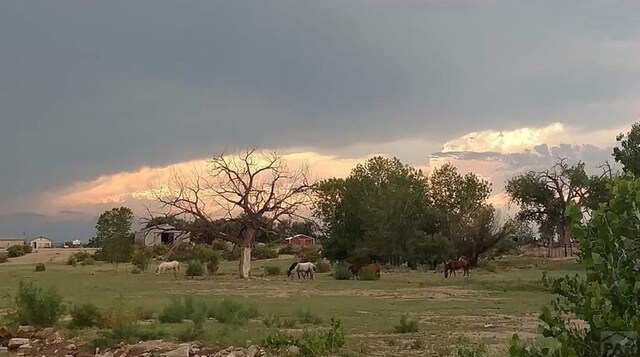 nature at dusk featuring a rural view