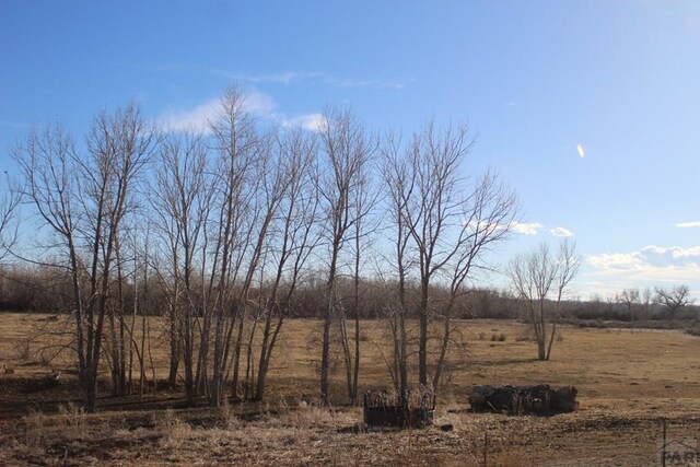 view of nature featuring a rural view