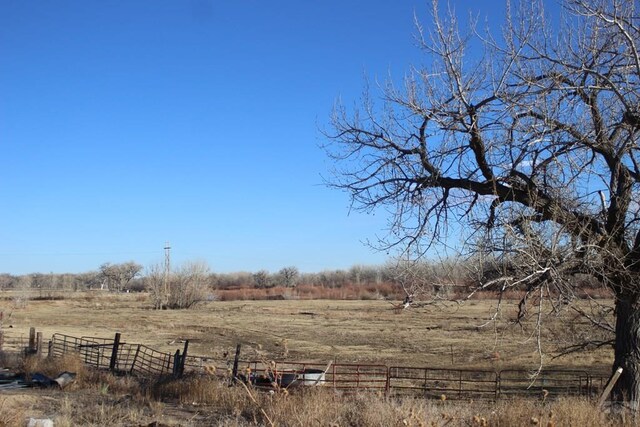 view of local wilderness with a rural view