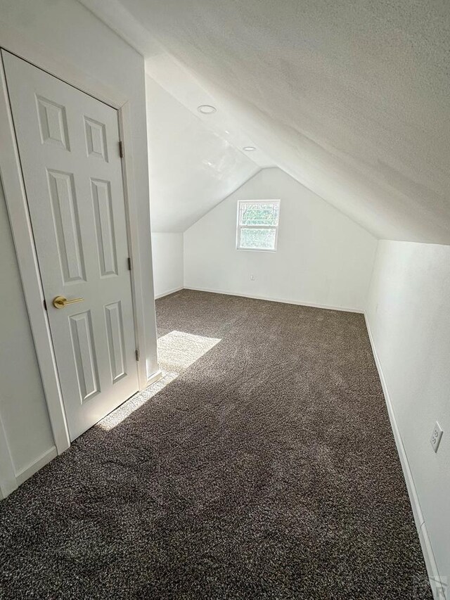 additional living space with carpet, vaulted ceiling, and a textured ceiling