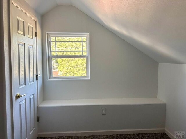 additional living space featuring lofted ceiling