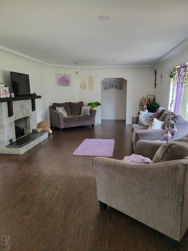 living area with dark wood finished floors and a fireplace