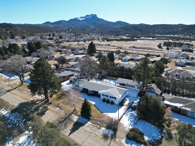 232 Saddle Rd, Trinidad, CO 81082 - aerial view of residential area featuring a mountain backdrop
