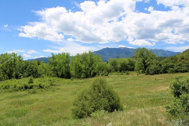 view of mountain feature