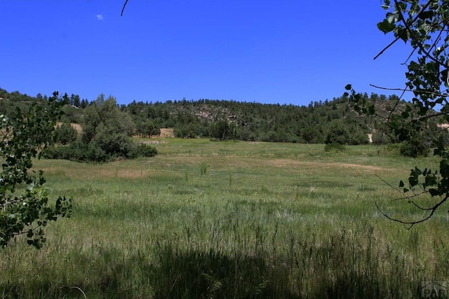 view of nature with a view of trees and a rural view