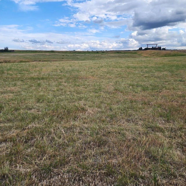 view of local wilderness with a rural view