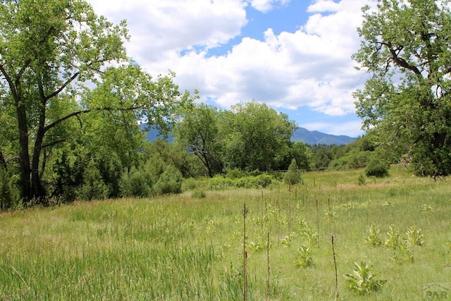 view of nature with a mountain view