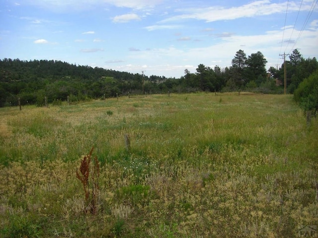 view of local wilderness featuring a forest view and a rural view