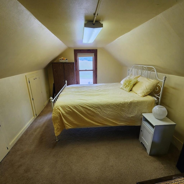 bedroom with lofted ceiling, a textured ceiling, carpet flooring, baseboards, and track lighting