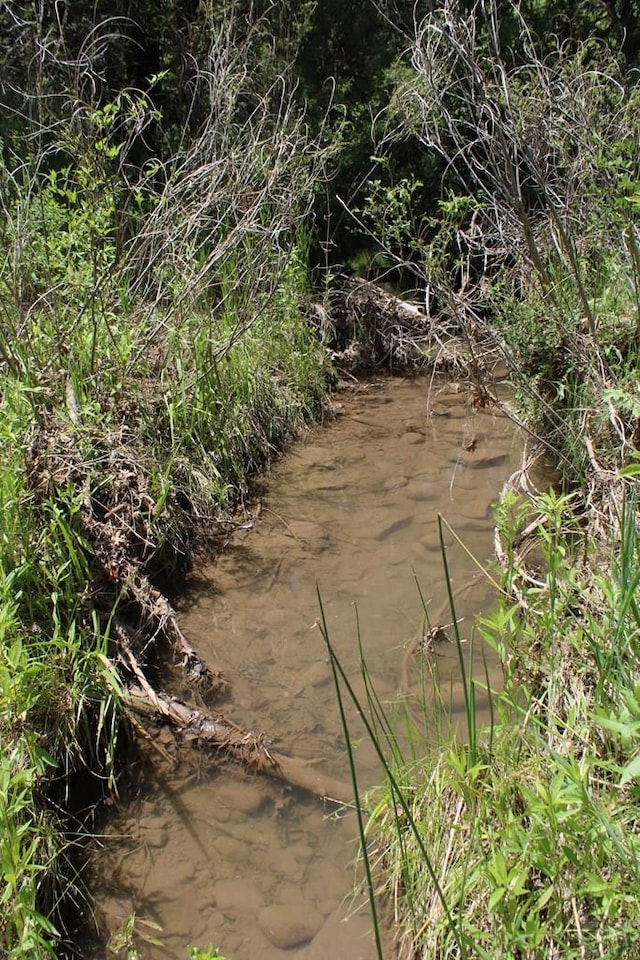 view of nature with a water view