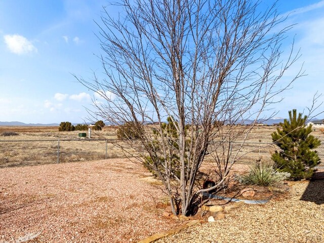 view of yard with fence and a rural view