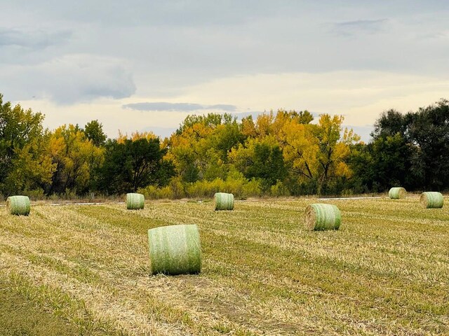 TBD Daniel Rd, Pueblo, CO 81006