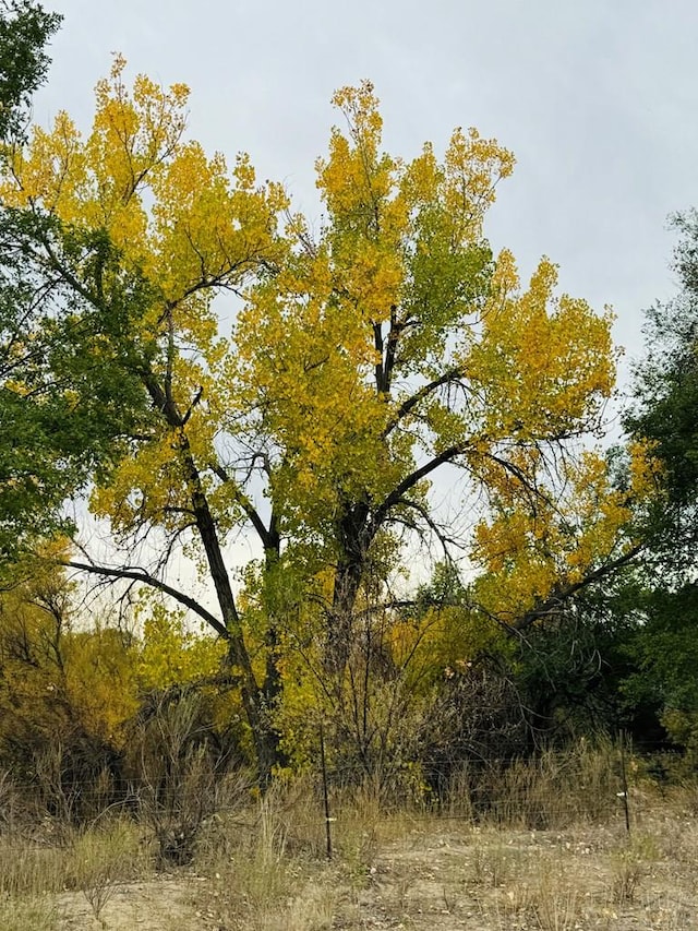 TBD Daniel Rd, Pueblo, CO 81006