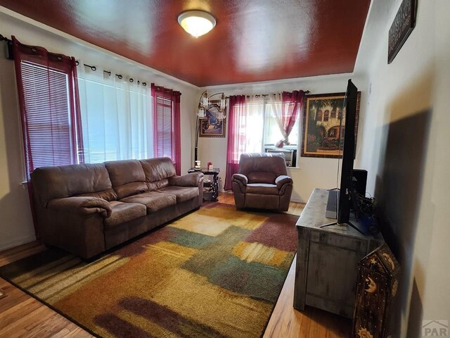 living area featuring wood finished floors