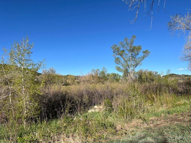 TBD Highway 12, Segundo, CO 81082 - photo 5