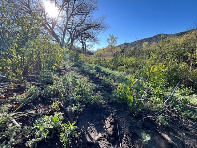 TBD Highway 12, Segundo, CO 81082 - photo 16