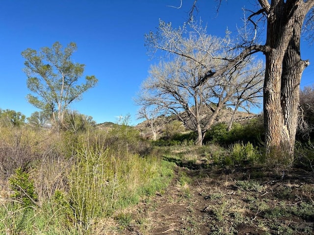 TBD Highway 12, Segundo, CO 81082 - photo 11