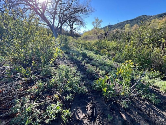 TBD Highway 12, Segundo, CO 81082 - photo 23