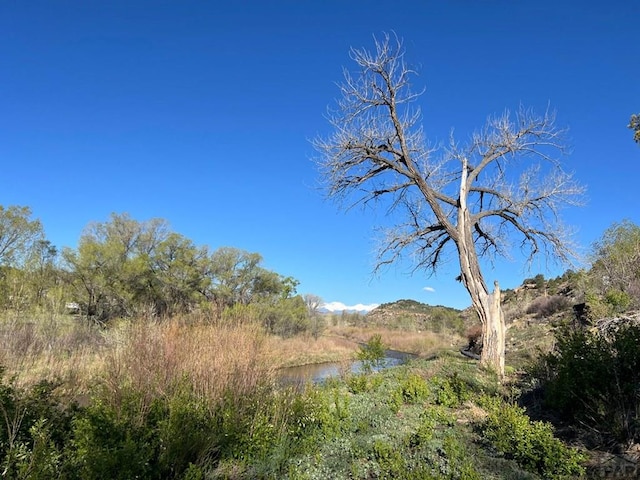 TBD Highway 12, Segundo, CO 81082 - photo 3
