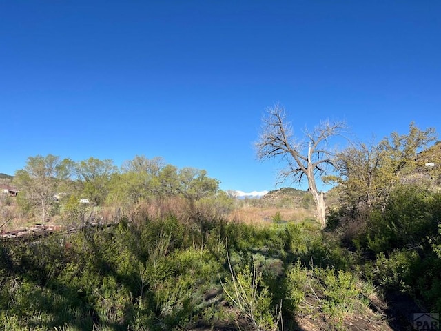 TBD Highway 12, Segundo, CO 81082 - photo 28